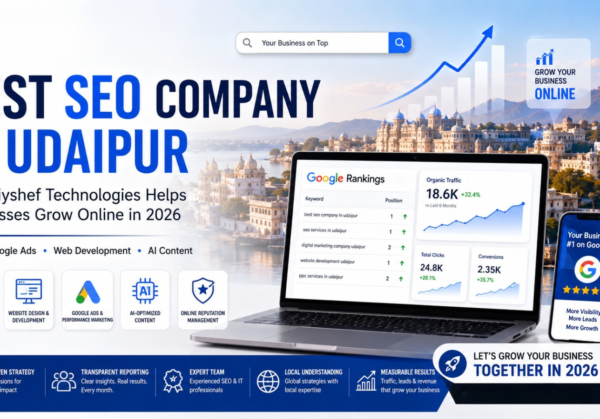 Best SEO Company in Udaipur